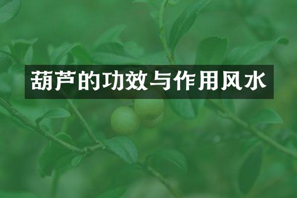 葫芦的功效与作用风水