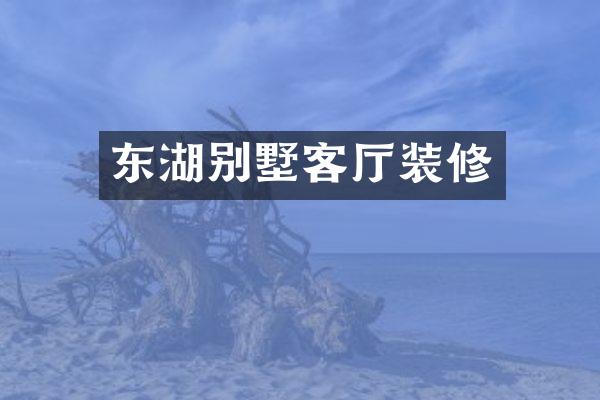 东湖别墅客厅装修