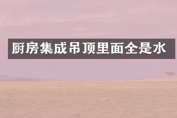 厨房集成吊顶里面全是水
