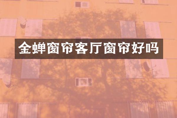 金蝉窗帘客厅窗帘好吗
