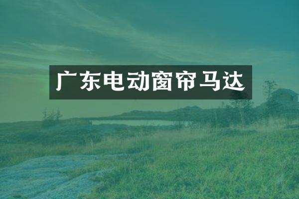 广东电动窗帘马达