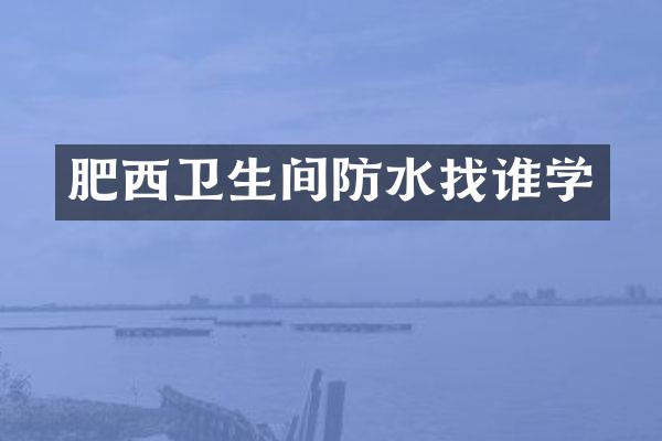 肥西卫生间防水找谁学