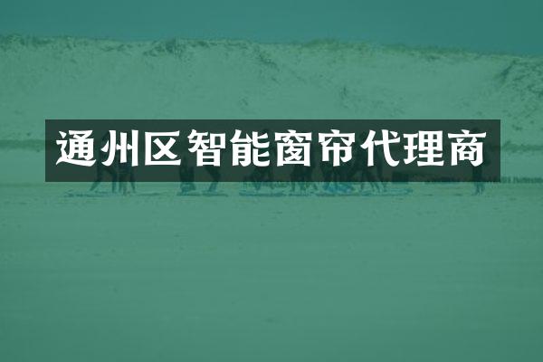 通州区智能窗帘代理商