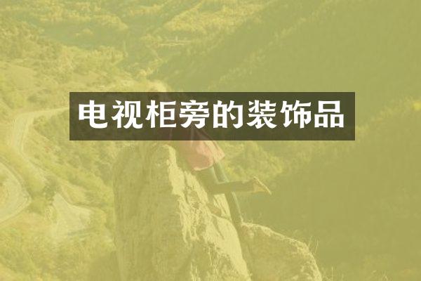 电视柜旁的装饰品