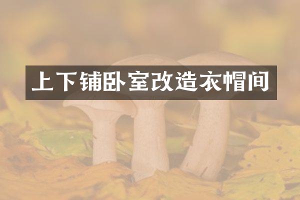 上下铺卧室改造衣帽间