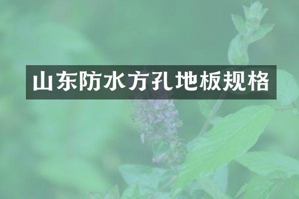 山东防水方孔地板规格