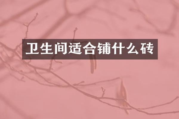 卫生间适合铺什么砖