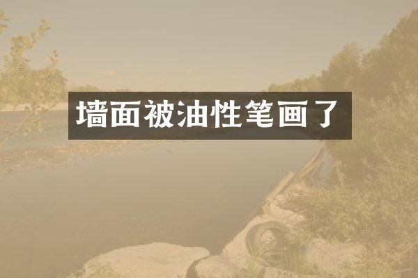 墙面被油性笔画了