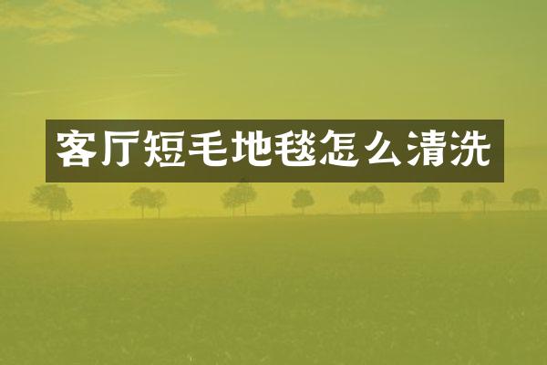 客厅短毛地毯怎么清洗