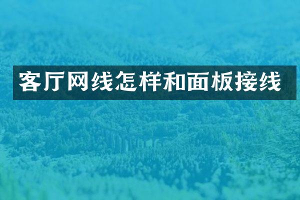 客厅网线怎样和面板接线