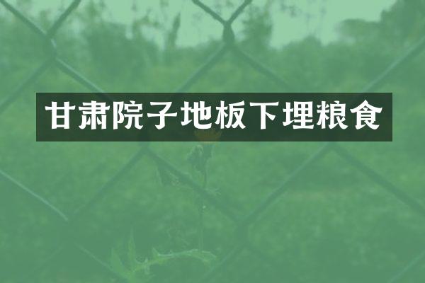 甘肃院子地板下埋粮食