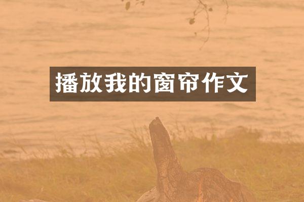 播放我的窗帘作文