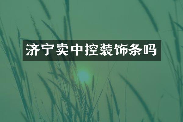 济宁卖中控装饰条吗