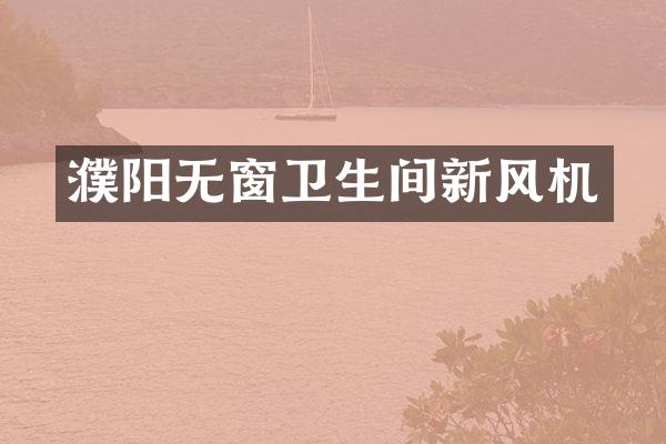 濮阳无窗卫生间新风机