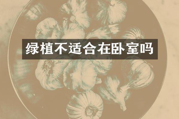 绿植不适合在卧室吗