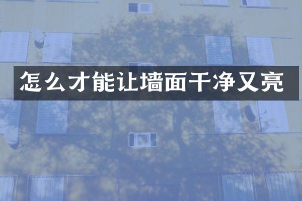 怎么才能让墙面干净又亮