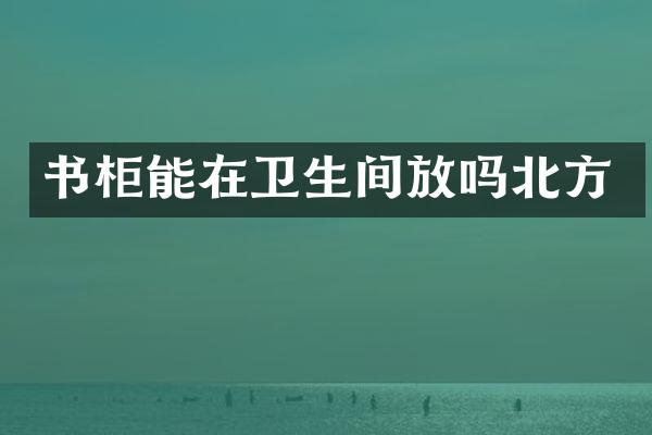 书柜能在卫生间放吗北方