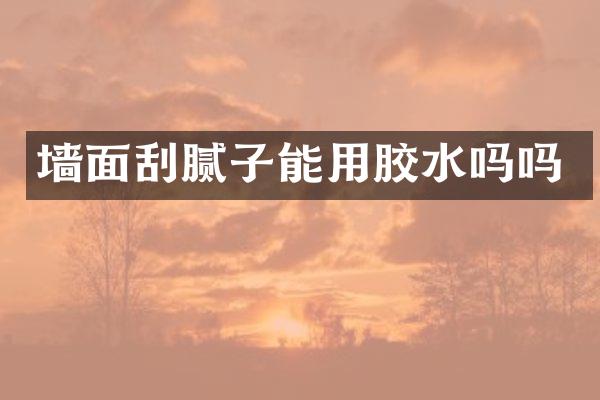 墙面刮腻子能用胶水吗吗