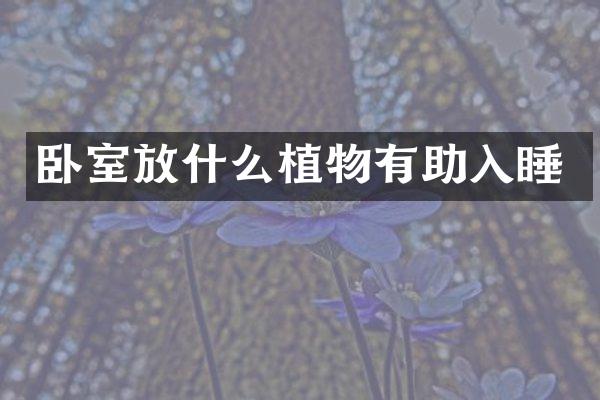 卧室放什么植物有助入睡