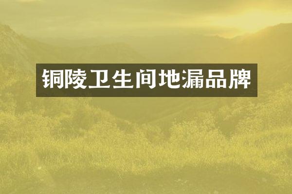 铜陵卫生间地漏品牌