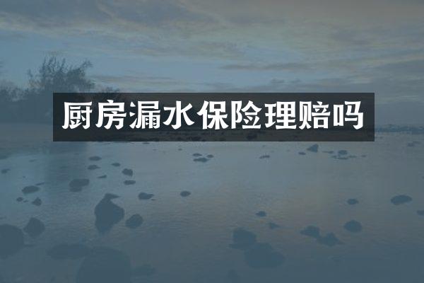 厨房漏水保险理赔吗