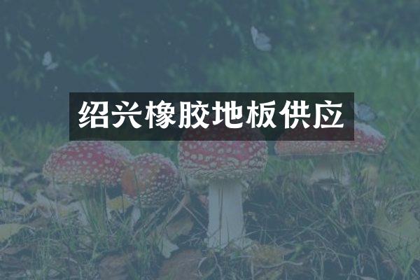 绍兴橡胶地板供应