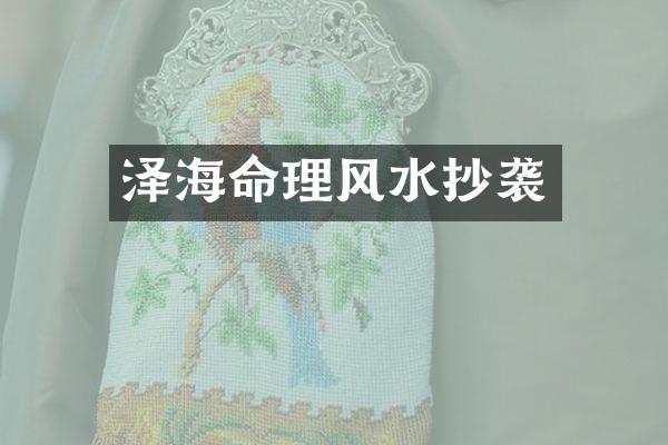 泽海命理风水抄袭