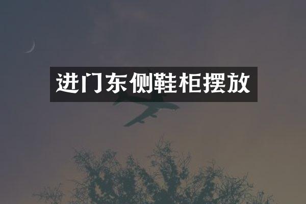 进门东侧鞋柜摆放