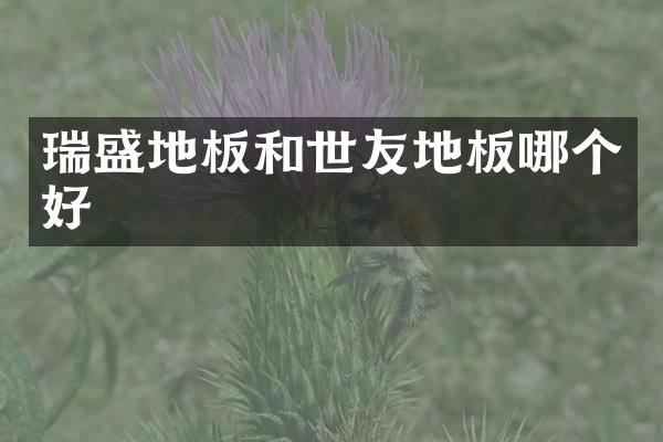 瑞盛地板和世友地板哪个好