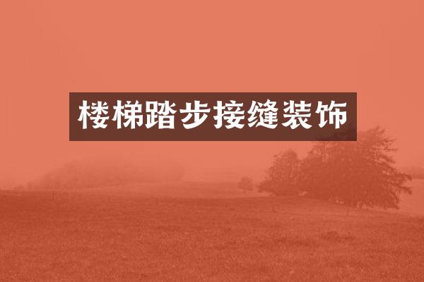 楼梯踏步接缝装饰