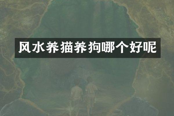 风水养猫哪个好呢