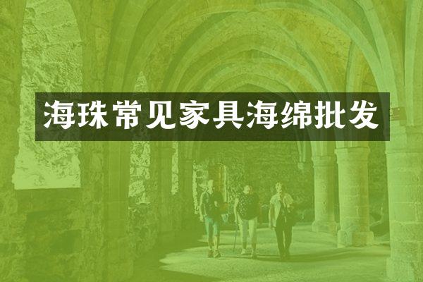 海珠常见家具海绵批发