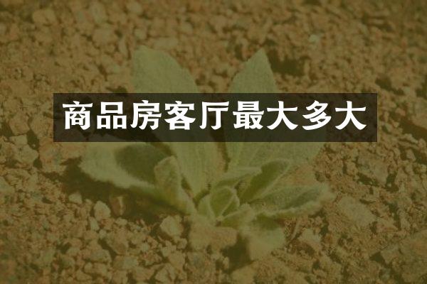 商品房客厅最大多大