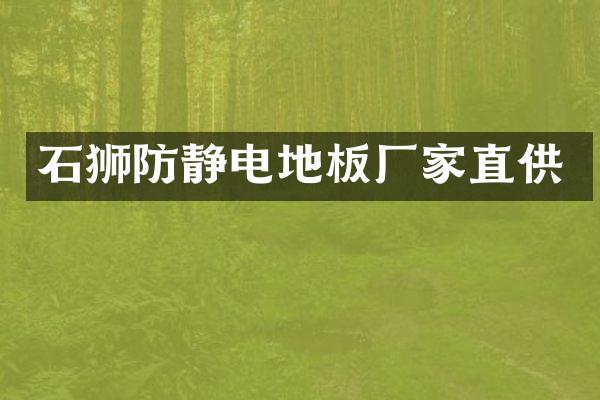 石狮防静电地板厂家直供