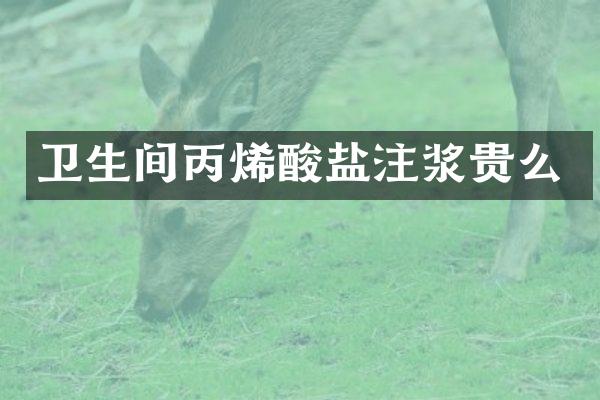 卫生间丙烯酸盐注浆贵么