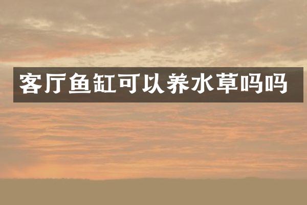 客厅鱼缸可以养水草吗吗