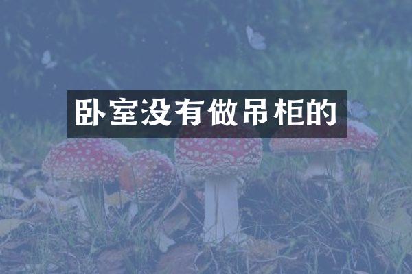 卧室没有做吊柜的
