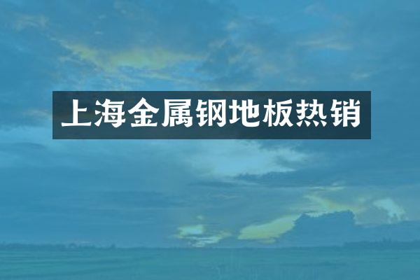 上海金属钢地板热销