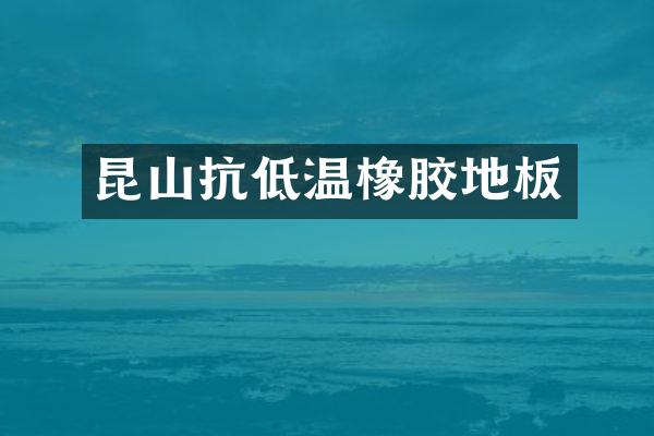 昆山抗低温橡胶地板