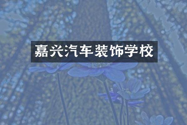 嘉兴汽车装饰学校