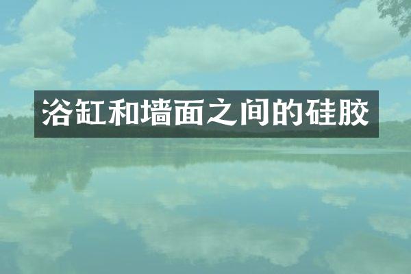 浴缸和墙面之间的硅胶