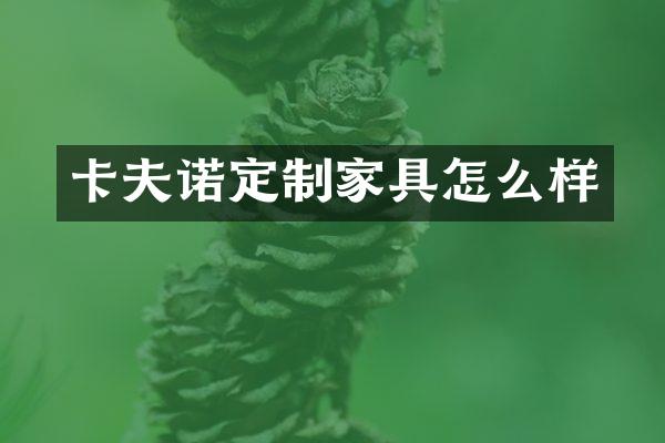 卡夫诺定制家具怎么样