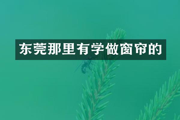 东莞那里有学做窗帘的