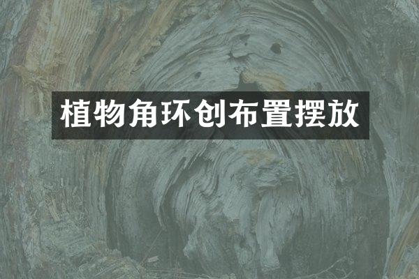 植物角环创布置摆放