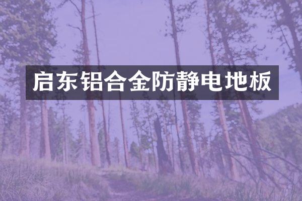 启东铝合金防静电地板