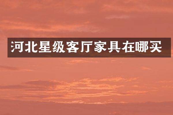 河北星级客厅家具在哪买