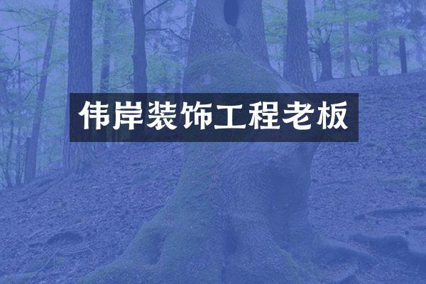 伟岸装饰工程老板