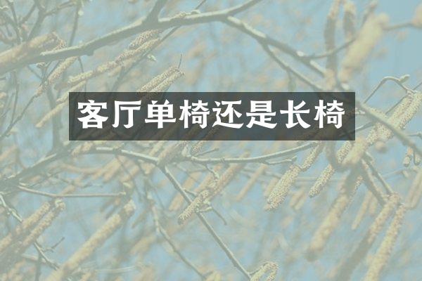 客厅单椅还是长椅