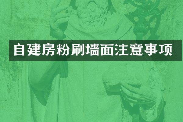 自建房粉刷墙面注意事项