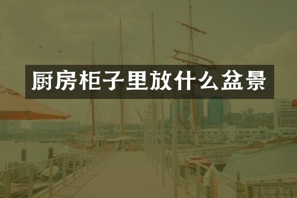 厨房柜子里放什么盆景